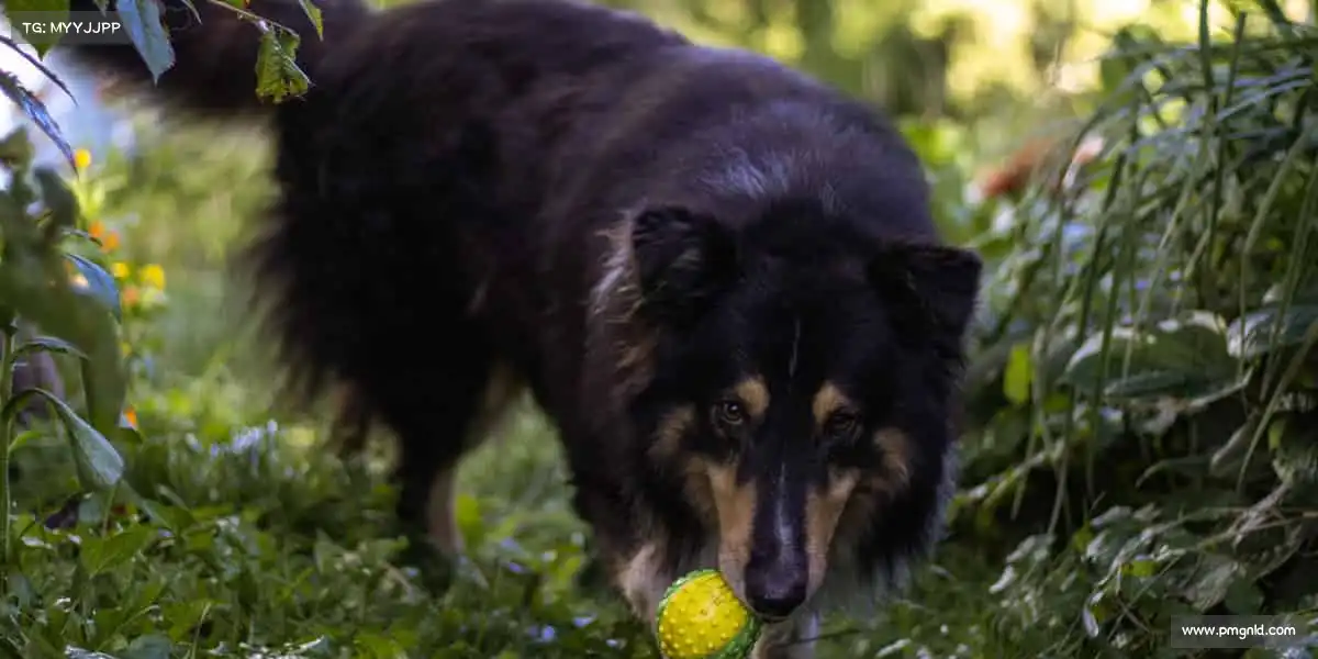 我们的品牌价值